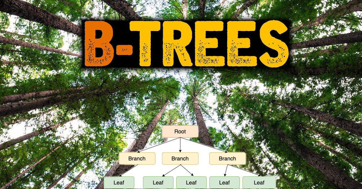 B-Trees: A Guide with Code and Examples